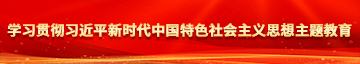 啊操我啊好爽学习贯彻习近平新时代中国特色社会主义思想主题教育